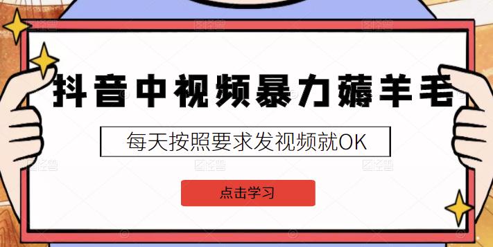 2022抖音中视频暴力薅羊毛白嫖项目：新号每天20块，老号几天几百块，可多号￼-桀创项目掘金社
