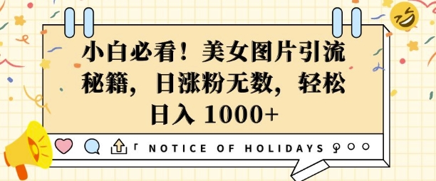 小白必看，美女图片引流秘籍，日涨粉无数，轻松日入几张【揭秘】-桀创项目掘金社
