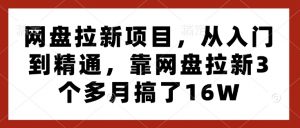 网盘拉新项目，从入门到精通，靠网盘拉新3个多月搞了16W-桀创项目掘金社