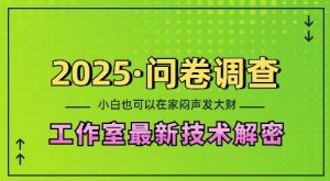 2025问卷调查最新工作室技术解密：一个人在家也可以闷声发大财，小白一天2张，可矩阵放大【揭秘】-桀创项目掘金社