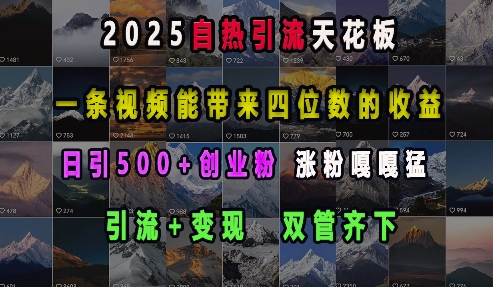 2025自热引流天花板，一条视频能带来四位数的收益，引流+变现双管齐下，日引500+创业粉，涨粉嘎嘎猛-桀创项目掘金社