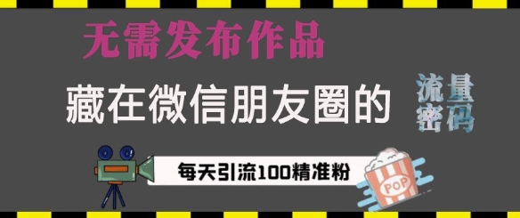 藏在微信朋友圈的流量密码，无需发布作品，单日引流100+精准创业粉【揭秘】-桀创项目掘金社