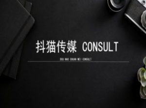 抖猫学院小红书聚光详细操作流程实操-桀创项目掘金社