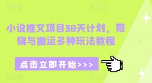 小说推文项目38天计划,剪辑与搬运多种玩法教程-桀创项目掘金社