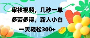 审核视频，几秒一单，多劳多得，新人小白一天轻松300+-桀创项目掘金社