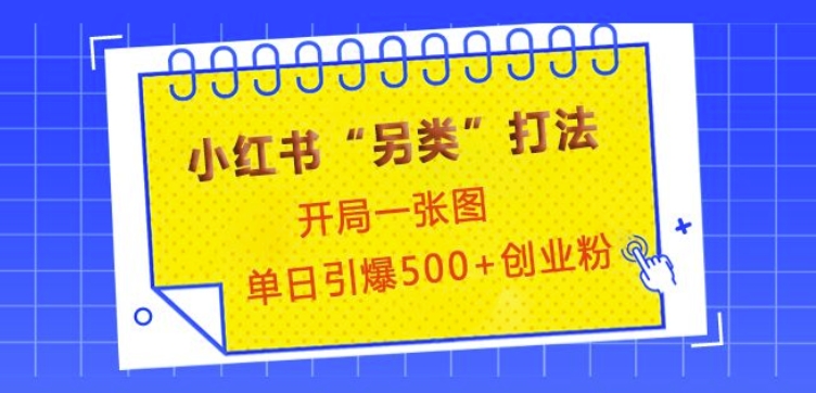小红书“另类”打法，开局一张图，单日引爆500+精准创业粉【揭秘】-桀创项目掘金社