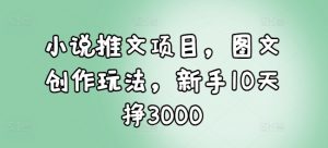 小说推文项目，图文创作玩法，新手10天挣3000-桀创项目掘金社