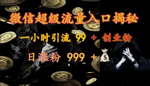 微信超级流量入口揭秘:一小时引流 99 + 创业粉,日涨粉 999 +-桀创项目掘金社