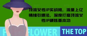 顶流女性IP实战班，流量上亿情绪引爆法，深度打磨顶流女性IP硬核基本功-桀创项目掘金社