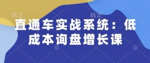 直通车实战系统:低成本询盘增长课,让个人通过技能实现升职加薪,让企业低成本获客,订单源源不断-桀创项目掘金社