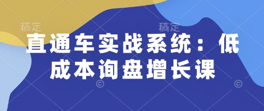 直通车实战系统：低成本询盘增长课，让个人通过技能实现升职加薪，让企业低成本获客，订单源源不断-桀创项目掘金社