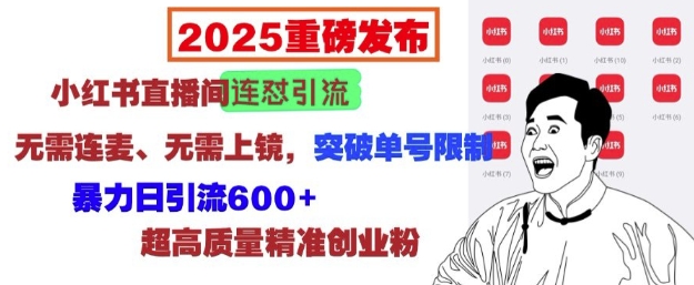 2025重磅发布：小红书直播间连怼引流，无需连麦、无需上镜，突破单号限制，暴力日引流600+-桀创项目掘金社