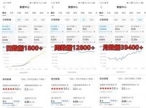 拼多多虚拟店铺项目,电脑挂机自动发货,单店日利润300+-桀创项目掘金社