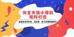 淘宝天猫小爆款矩阵打造:涵盖蓝海词布局、选品等,助力店铺销量飙升-桀创项目掘金社