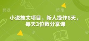 小说推文项目,新人操作6天,每天3位数分享课-桀创项目掘金社