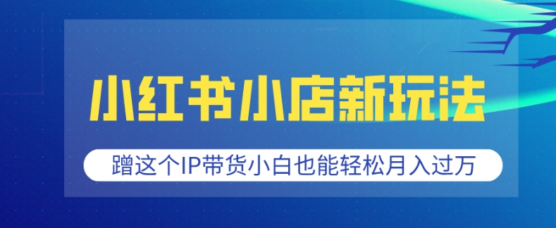 小红书小店新玩法，蹭这个IP带货，小白也能轻松月入过W【揭秘】-桀创项目掘金社