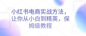 小红书电商实战方法,让你从小白到精英,保姆级教程-桀创项目掘金社