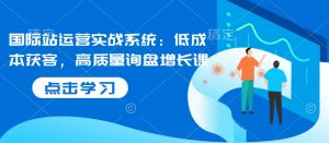 国际站运营实战系统:低成本获客,高质量询盘增长课-桀创项目掘金社