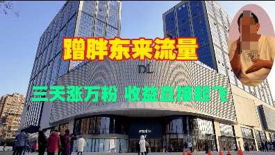 蹭胖东来流量，三天涨万粉，收益直接起飞-桀创项目掘金社