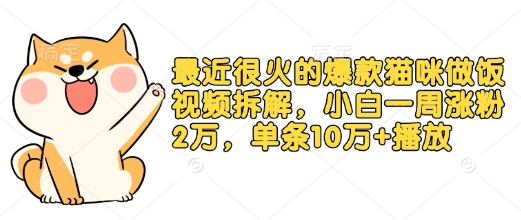 最近很火的爆款猫咪做饭视频拆解，小白一周涨粉2万，单条10万+播放(附保姆级教程)-桀创项目掘金社