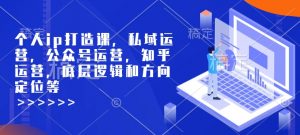 个人ip打造课,私域运营,公众号运营,知乎运营,底层逻辑和方向定位等-桀创项目掘金社