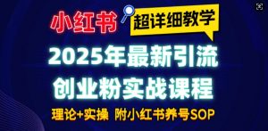 2025年最新小红书引流创业粉实战课程【超详细教学】小白轻松上手，月入1W+，附小红书养号SOP-桀创项目掘金社