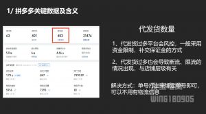 纪主任·拼多多年费会员(更新2025年1月)-桀创项目掘金社