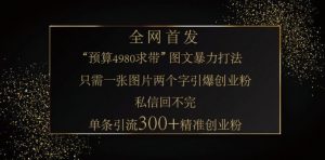 小红书神奇图片引流法,只需一张图,就能单条笔记凭借此方法,轻松引流 300 + 精准创业粉-桀创项目掘金社
