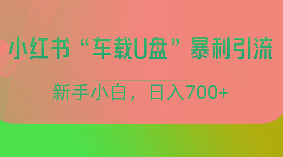 小红书“车载U盘”项目，暴利引流，新手小白轻松日入700+-桀创项目掘金社
