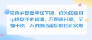 全案IP操盘手线下课,成为现象级ip操盘手必修课,无保留分享,全是干货,不讲废话超深度培训实操-桀创项目掘金社