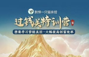 剽悍一只猫-过钱关特训营,学习营销真经 大幅度提高创富效率-桀创项目掘金社