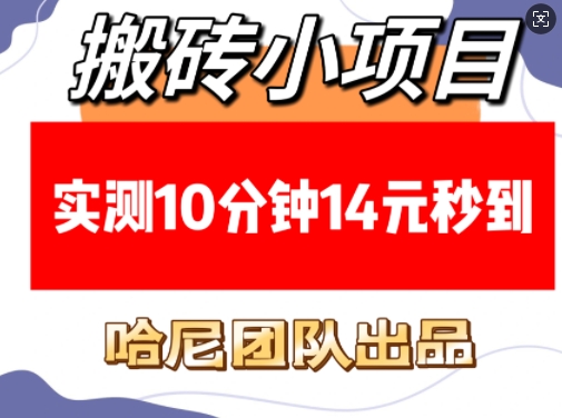 搬砖小项目，实测10分钟14元秒到，每天稳定几张(赠送必看稳定)-桀创项目掘金社