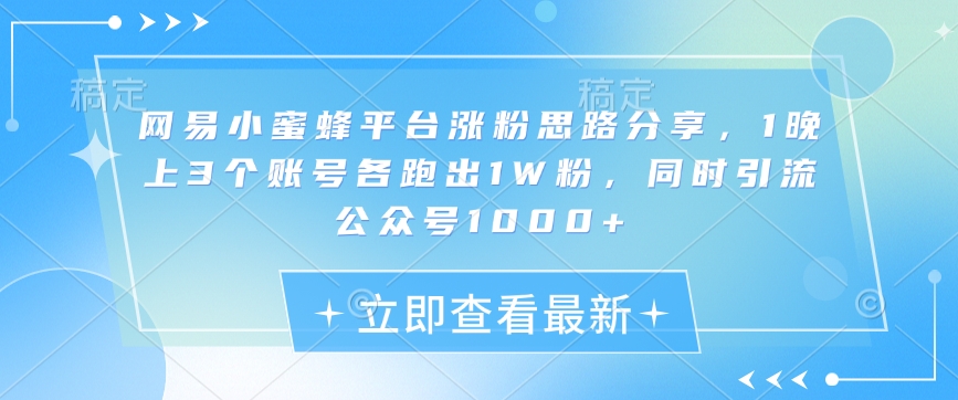 网易小蜜蜂平台涨粉思路分享，1晚上3个账号各跑出1W粉，同时引流公众号1000+-桀创项目掘金社