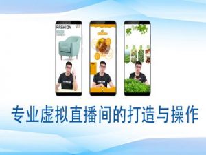 个人虚拟直播间的搭建与操作，专业虚拟直播间的打造与操作-桀创项目掘金社