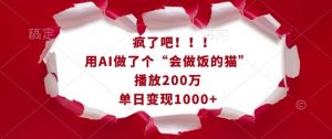 疯了吧！用AI做了个“会做饭的猫”，播放200万，单日变现1k-桀创项目掘金社