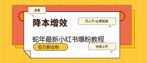 蛇年最新小红书爆粉教程,狂引副业粉,月入万+必看-桀创项目掘金社