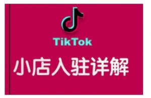 TikTok跨境小店运营全攻略,帮助你独立运营TK跨境小店的能力,实现销量增长-桀创项目掘金社