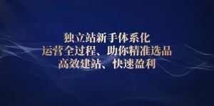 独立站新手体系化 运营全过程,助你精准选品、高效建站、快速盈利-桀创项目掘金社