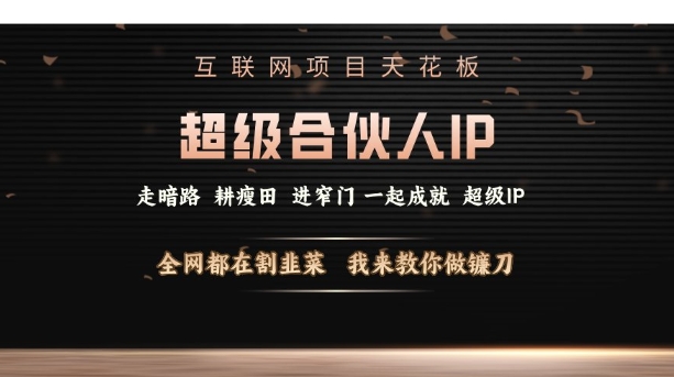 互联网项目天花板，超级合伙人IP，全网都在割韭菜，我来教你做镰刀【仅揭秘】-桀创项目掘金社