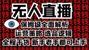 2025无人直播这么做就对了，保姆级全面解析，全程干货，新手老手都可上手-桀创项目掘金社