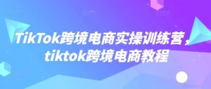 TikTok跨境电商实操训练营，tiktok跨境电商教程-桀创项目掘金社