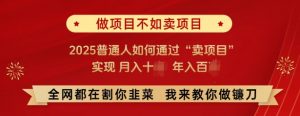 必看,做项目不如卖项目,2025普通人如何通过“卖项目”实现月入十个,年入百个-桀创项目掘金社