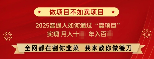 必看，做项目不如卖项目，2025普通人如何通过“卖项目”实现月入十个，年入百个-桀创项目掘金社
