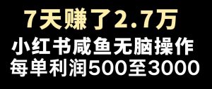 最赚钱项目之一，2025爆火，逆风翻盘！-桀创项目掘金社