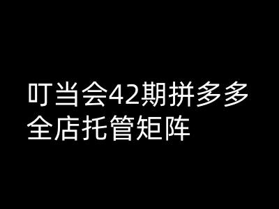 叮当会拼多多打爆班原创高阶技术第42期，拼多多全店托管矩阵-桀创项目掘金社