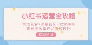 小红书运营全攻略，精准获客+流量优化+软文种草，揭秘高客单产品投放技巧-桀创项目掘金社