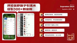 评论区野路子截流创业粉新方法,日被动加300+创业粉,精准引流被动添加…-桀创项目掘金社