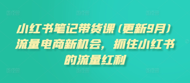 小红书笔记带货课(更新25年2月)流量电商新机会，抓住小红书的流量红利-桀创项目掘金社