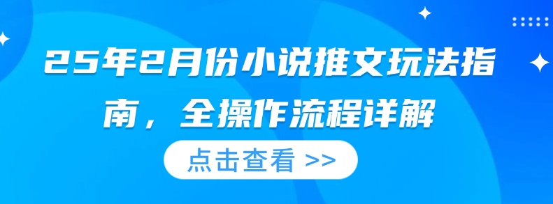 25年2月份小说推文玩法指南，全操作流程详解-桀创项目掘金社