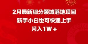 2月最新细分领域落地项目,新手小白也可快速上手,月入1W-桀创项目掘金社